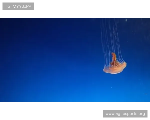 星空体育真人登陆注册指南，详细步骤助你快速完成账号创建